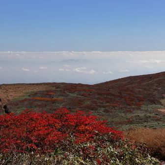 向こうの山を隠すように
雲のシルクスクリーン