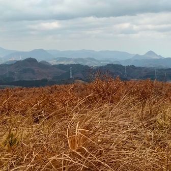 大平山⛰️方面