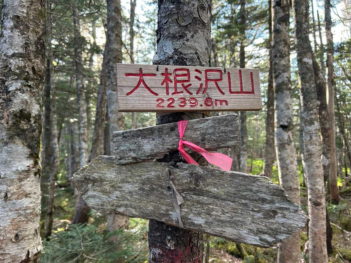 次いで大根沢山5回目くらいかな？
ブラックで5時間ならまあまあですね👍良いペース！