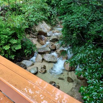 川きれいね✨️