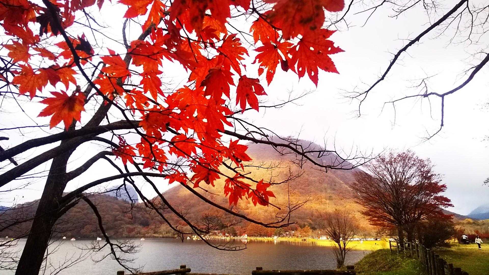 沼ノ原起点 榛名湖周回コースの写真