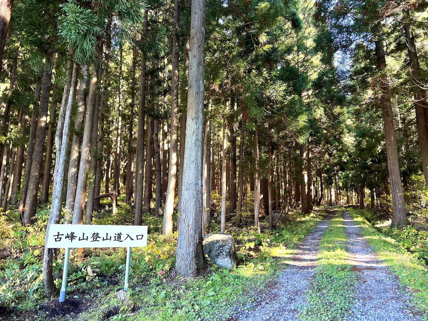 ここを入って右手の方に行くと駐車場ありました！