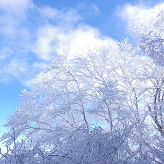 お天気ばっちりすぎる