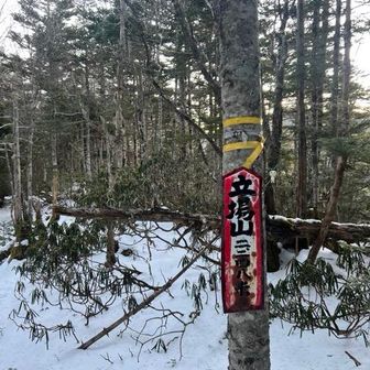 ここら辺から、雪ついてきます