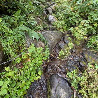 氷清水から流れ出た水が沢に。濡れて滑りやすい