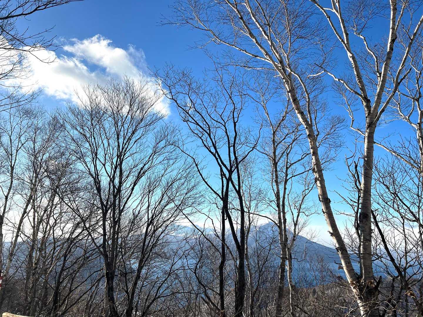 木々の隙間から風不死岳🏔️