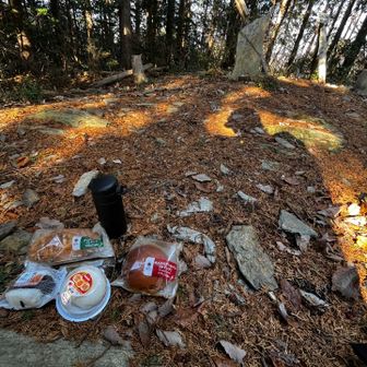 ここでやっと昼食