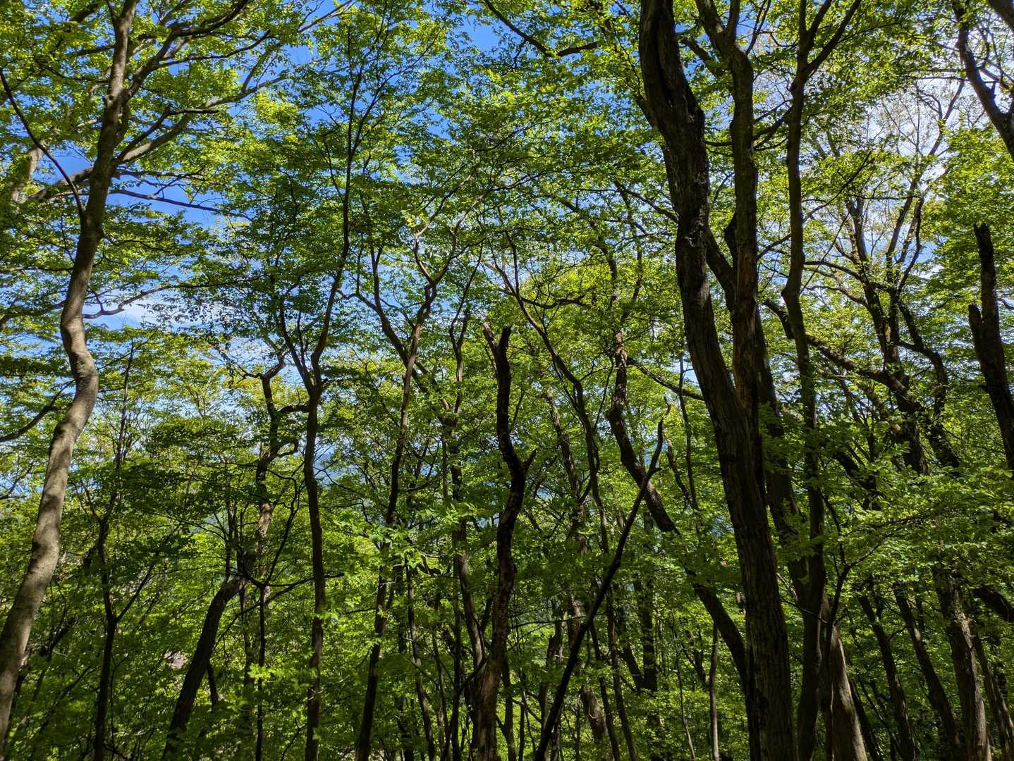 気持ちいいね〜