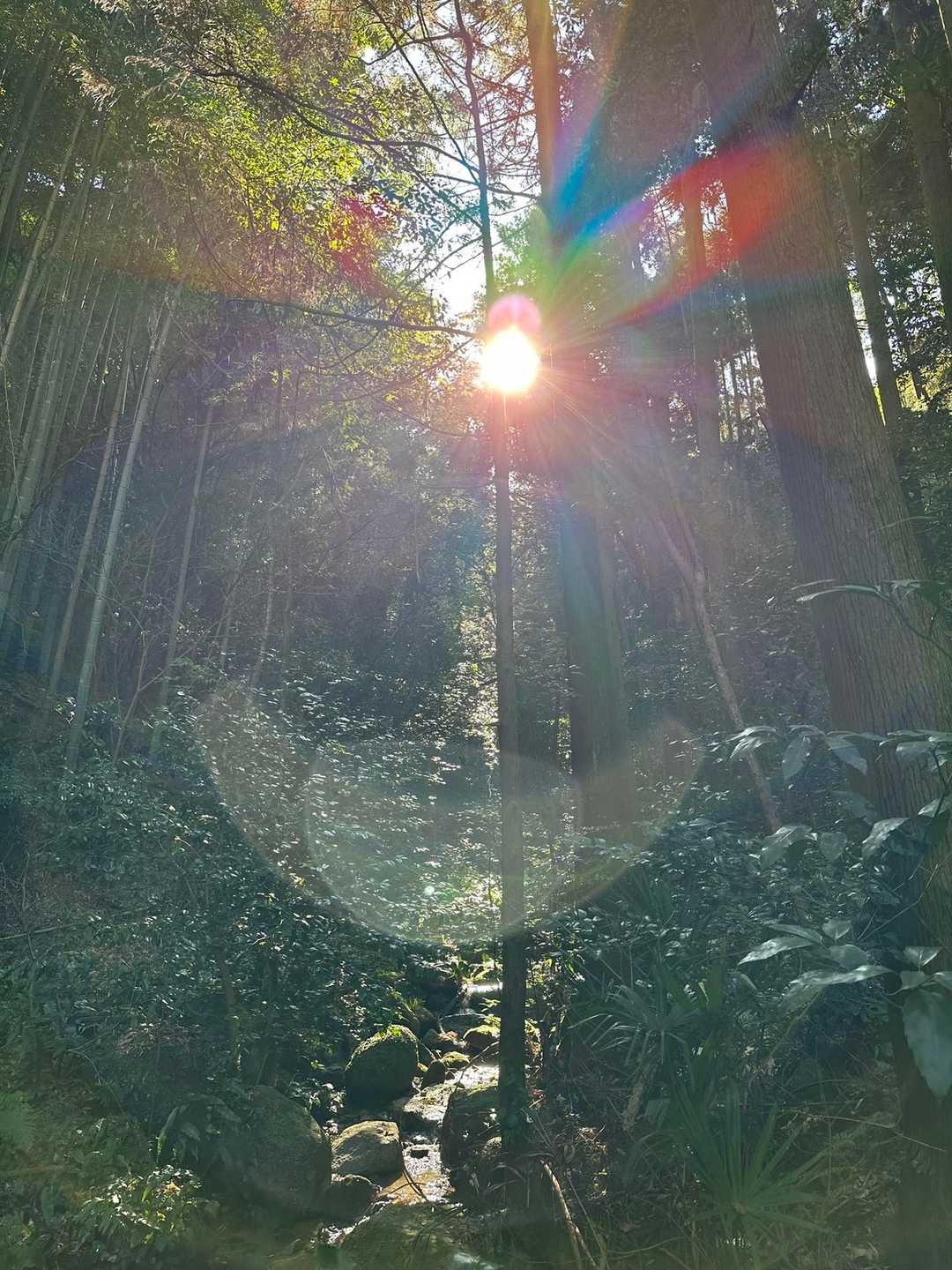 長野岳 往復コースの写真