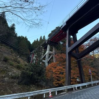 紅葉はほぼほぼ終わってますな