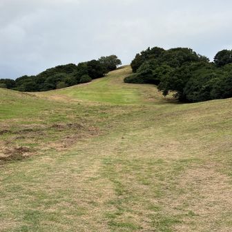 草がキレイに刈られてる🌱