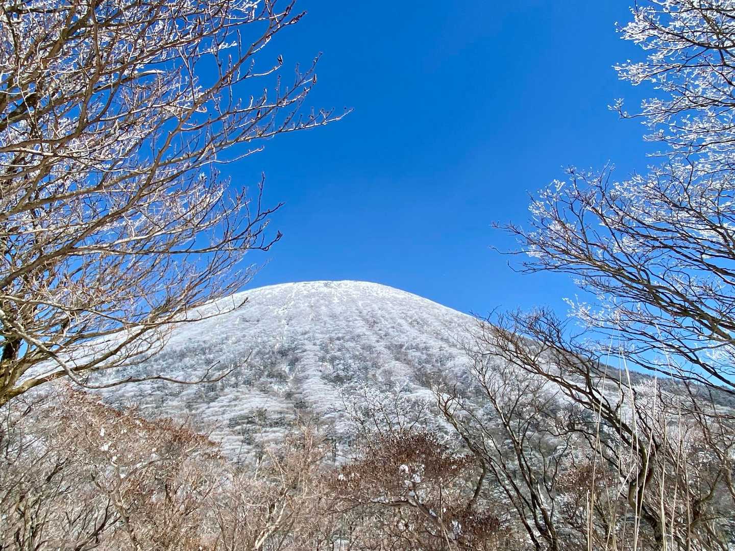 つつじヶ丘登山口-大浪池 往復コースの写真