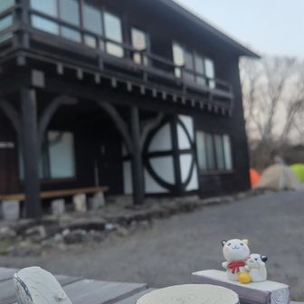 こんな可愛いものが😍