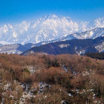 山頂からのキング