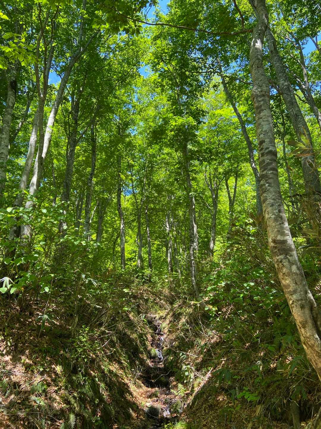 とにかく良い雰囲気です🌿✨