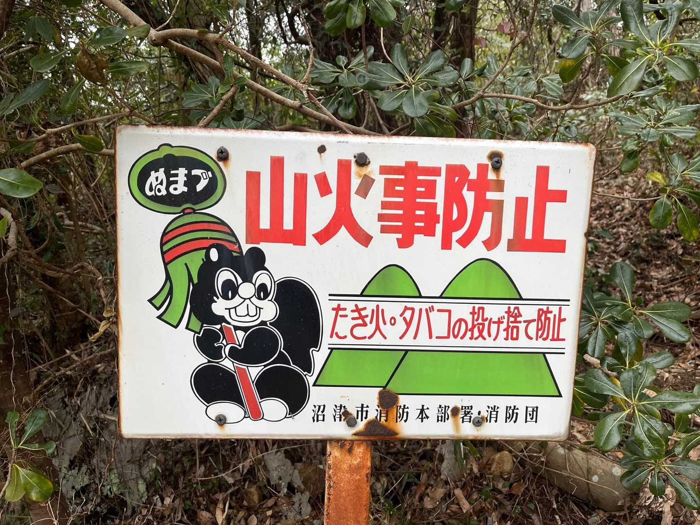 まといリスコレクション🐿