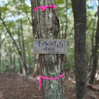 もののけ山（吽梨山）ゲット！
うんり山と読みます