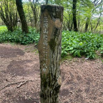 山頂表記。これ裏に書いてあるんで探しました(;'∀')