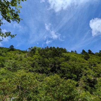 青空がきれい