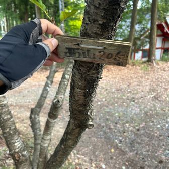 たった205mなので、すぐ山頂に到着。
ちっちゃい山頂プレートにタッチ。