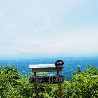 狙いどおり頂上付近の風は涼やかでした。
