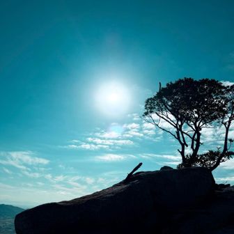 ココで綺麗な景色を見ながらご飯を食べて休憩しました！谷を降りて登ると目の前の場所に行ける感じだッたけと…
諦めました！