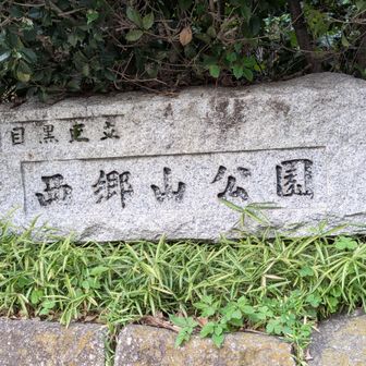 ピーク到着