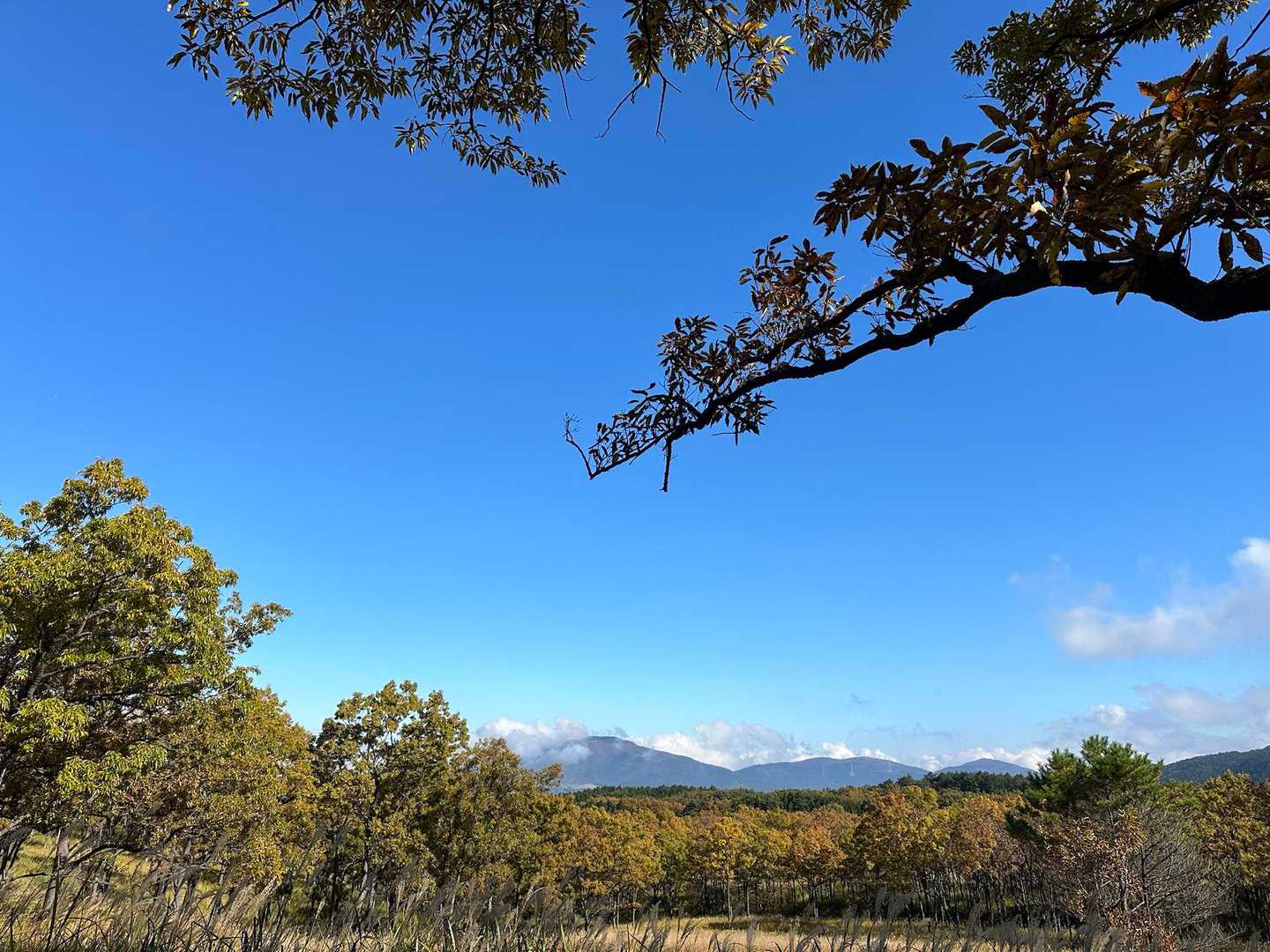 崩平山⛰️