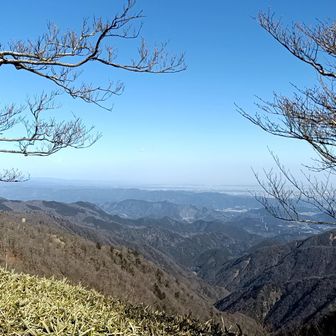 東京湾は見えないかなあ