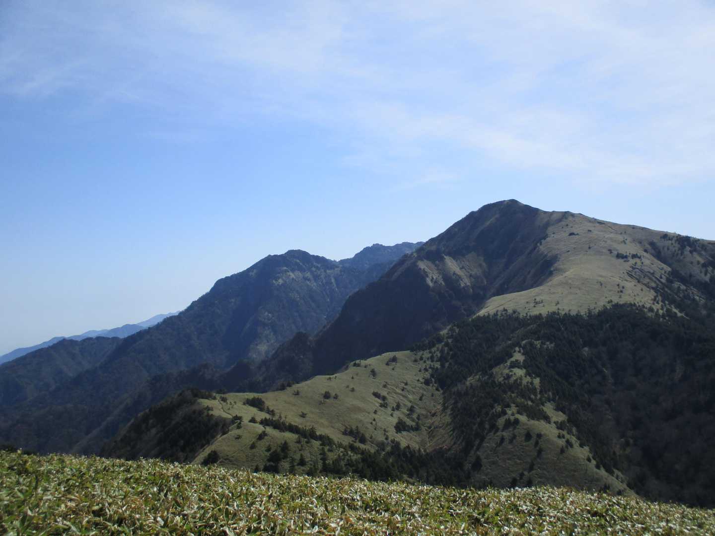 保井野登山口-堂ヶ森 往復コースの写真