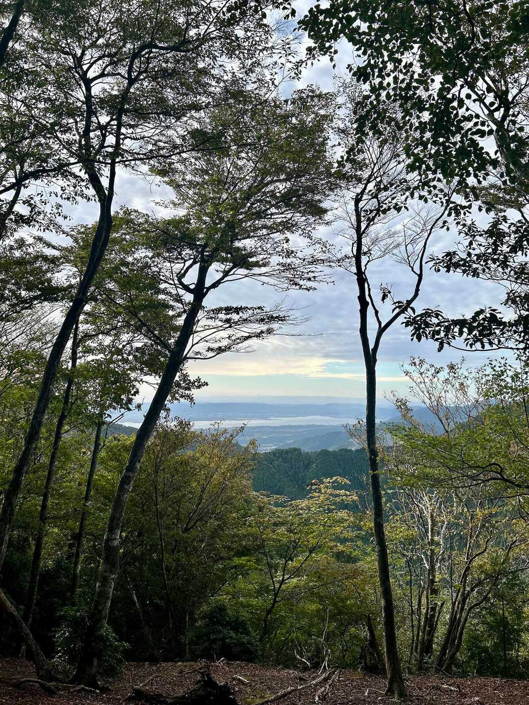 急登がひと段落すると
琵琶湖が見えて来た