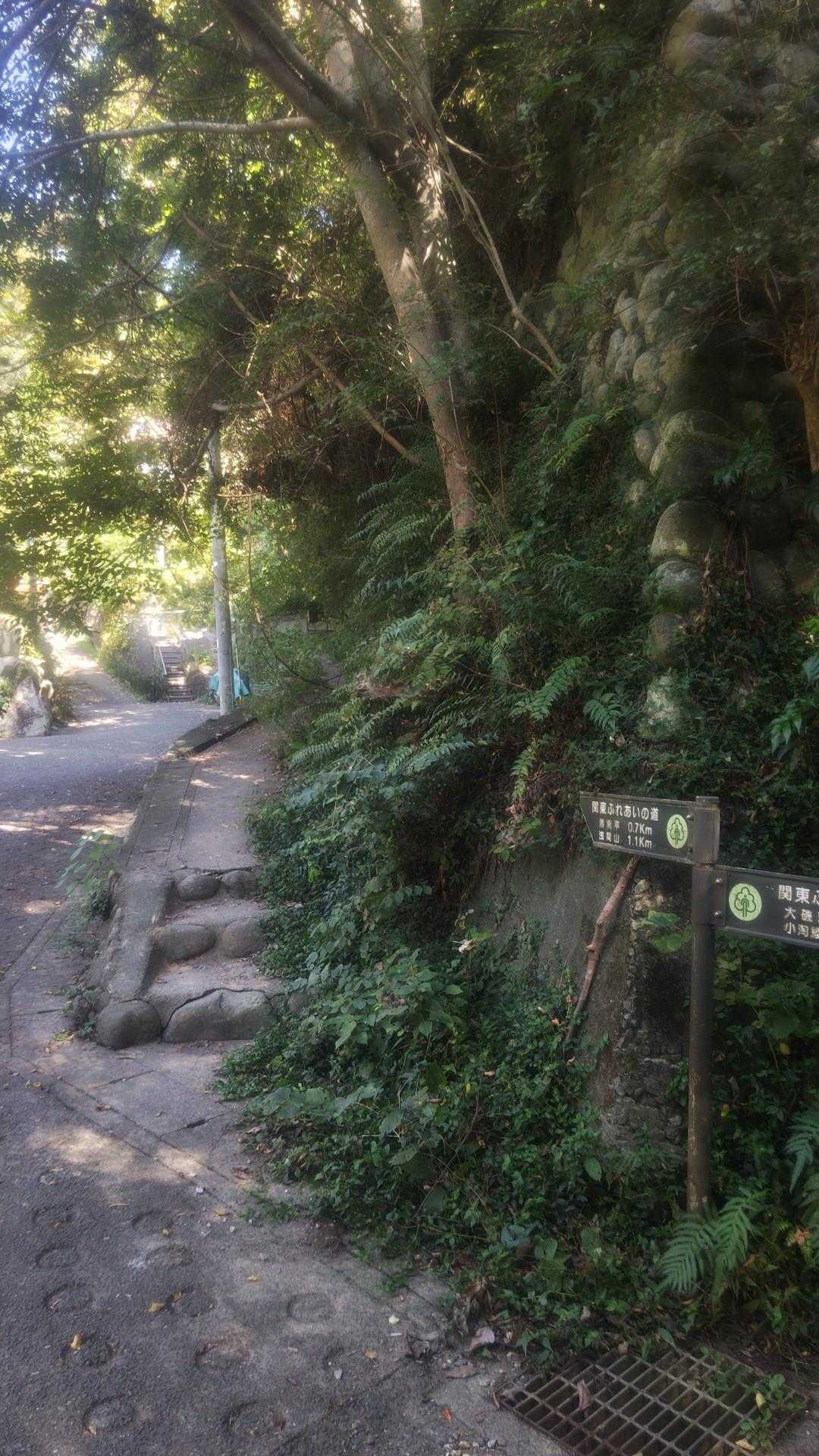 ハイキングコースを完了。