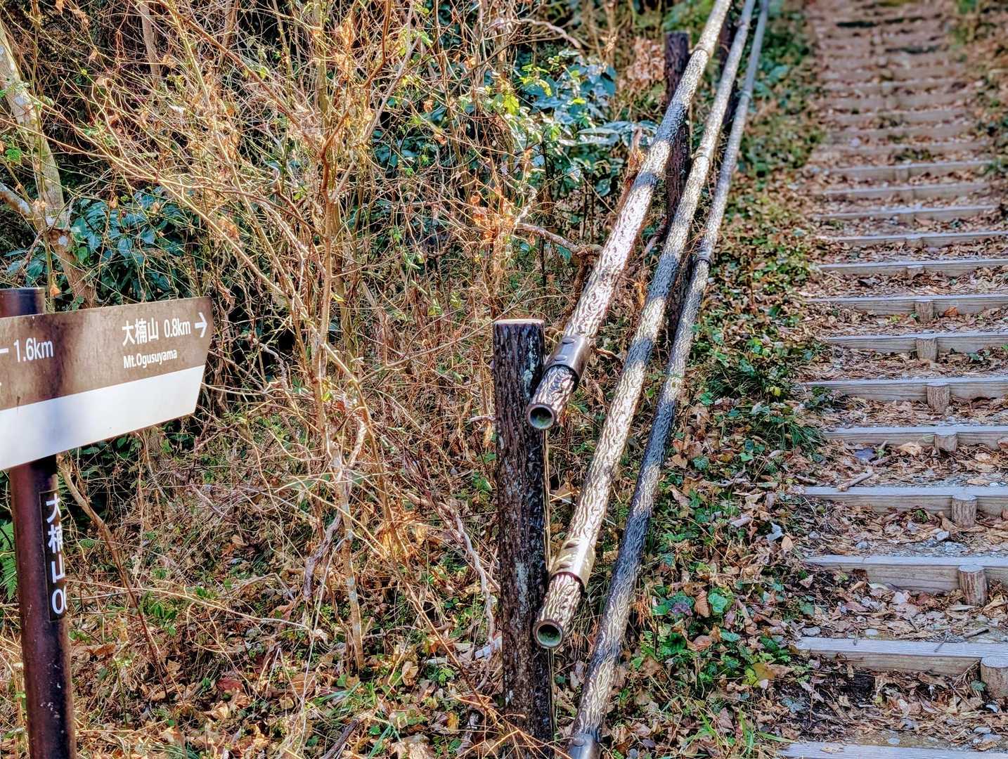 舗装路からいよいよ山道へ！
でも、ほぼほぼ階段が続くコースなのですよね〜😅💦
