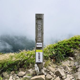 礼文岳登頂🙌イェーイ✌️