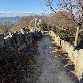 もっとのんびりしたいですが
下山します🙏