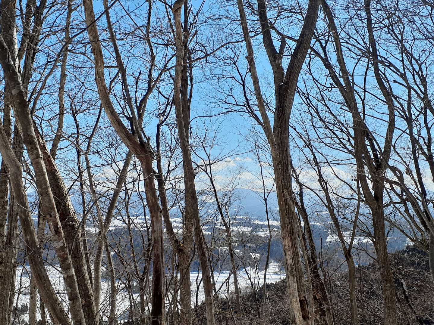 眺望は良くないけどゆっくりしたくなる山頂🤭