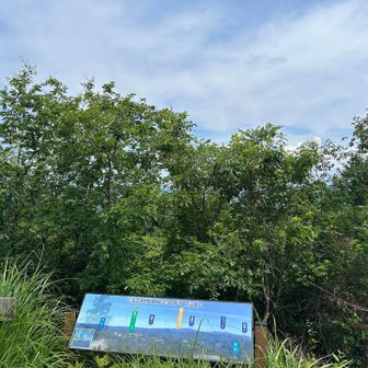 特に難所も無く1時間ほどで到着。