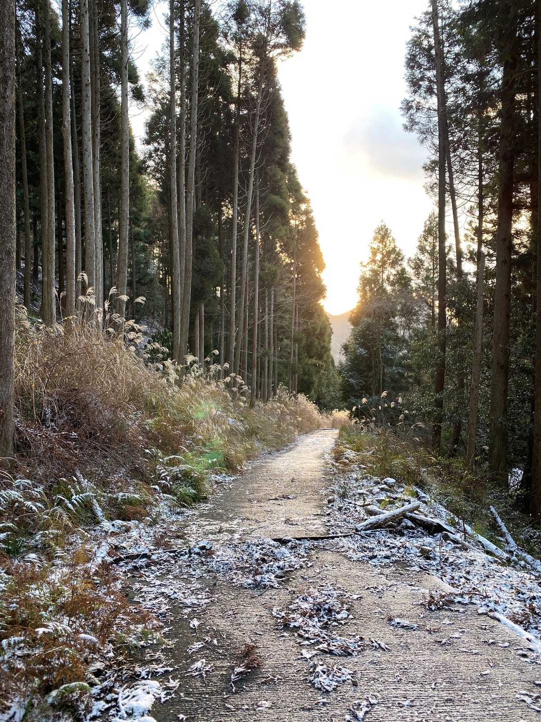 最初はコンクリートのズッと登り、所々凍ってて滑ります💦