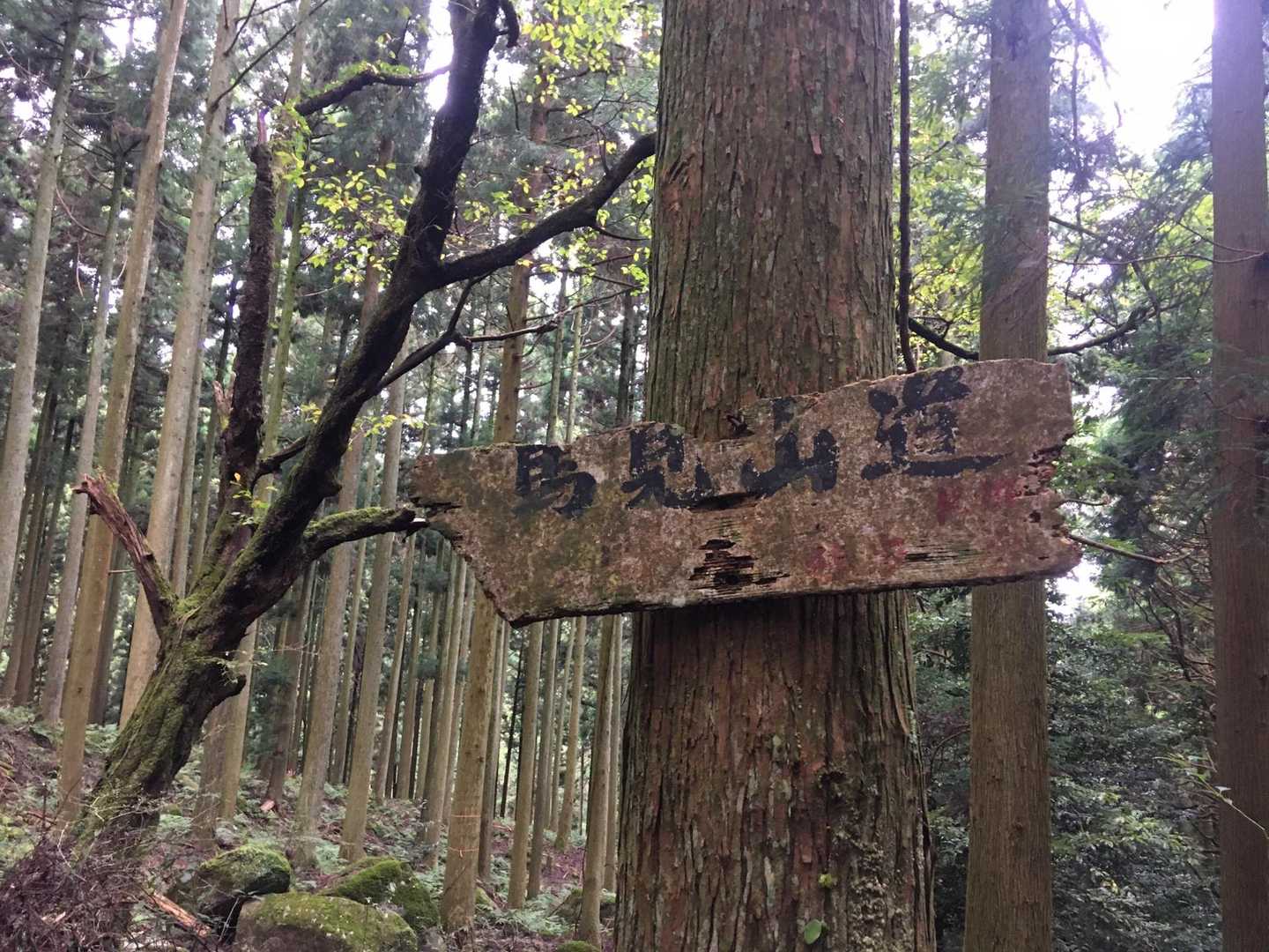 古い道標、味が有る
