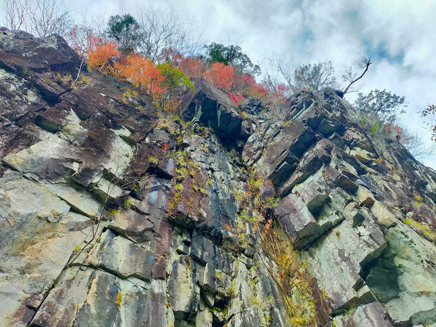 黒谷林道入口-白草山 往復コースの写真