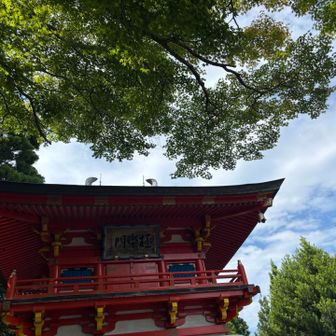 久しぶりに塔婆へ