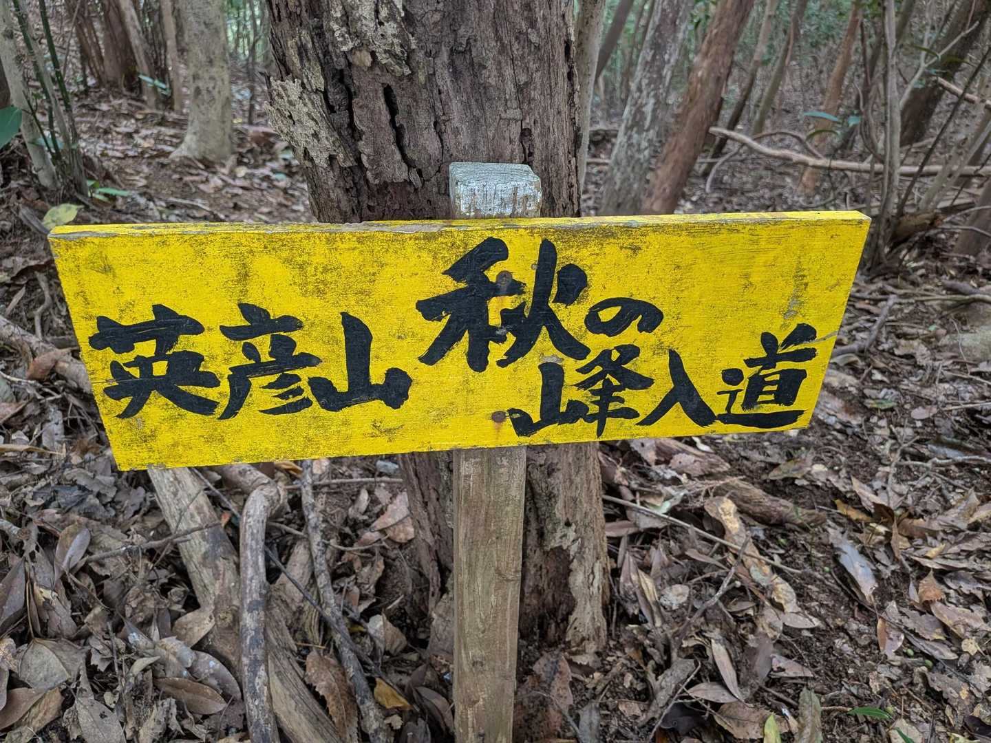 新城-茶臼山-金満山-焼立山 周回コースの写真