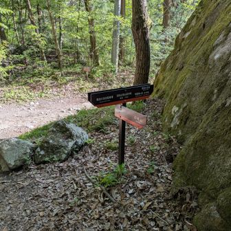 登山口に戻ってきました