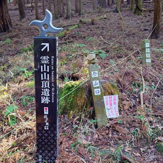 霊山寺へ下山
今日は7割が林道歩きでした〜