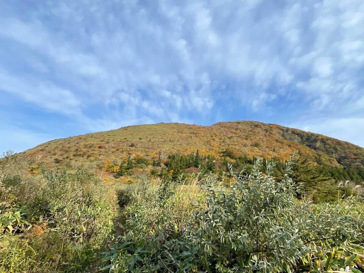 最初のピーク
大関山へ