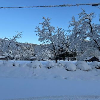 登山口からスタートです✨