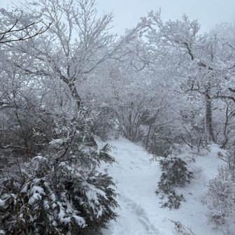 キレットから霧氷が
以外と雪があってよかった😅