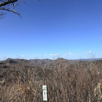 山頂到着、ほっとして泣きそう
今の道はとてもじゃないけど下りれない
帰りは迂回路にしよう