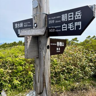 ジャンクションピーク🙌1940m
巻機山方面には「難路（Hard Trail）の表示。
一般登山道ではないので整備されていません。
笹藪の濃い区間が続き、ルーファイが難しいそうです⚠️