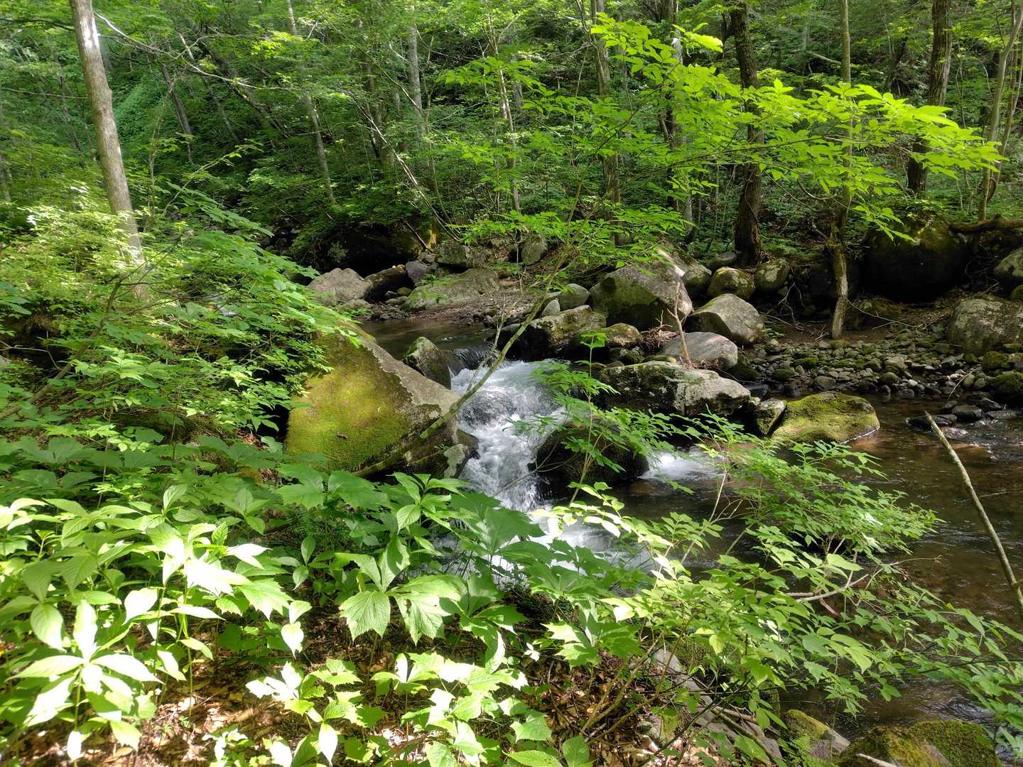 水引入道-屏風岳-南屏風岳-不忘山-白石女子校小屋跡 周回コースの写真